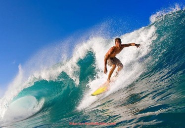 足球直播-最近意甲球队状态汇总:连胜走势与下滑警报并存 足球直播-最近意甲球队状态汇总:连胜走势与下滑警报并存